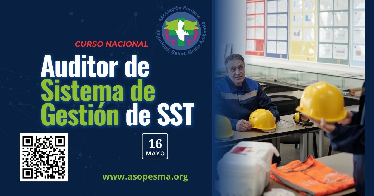 Curso Auditor SGSST